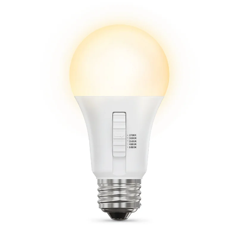 Edison light bulbs for industrial fixtures10W (60W Replacement) Adjustable White E26 Base A19 LED Bulb (10-Pack) Edison light bulbs for industrial fixtures10W (60W Replacement) Adjustable White E26 Base A19 LED Bulb (10-Pack)