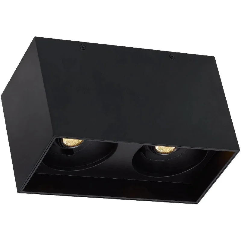 Track lighting with a brushed nickel finishExo 6 Double LED Flush Mount