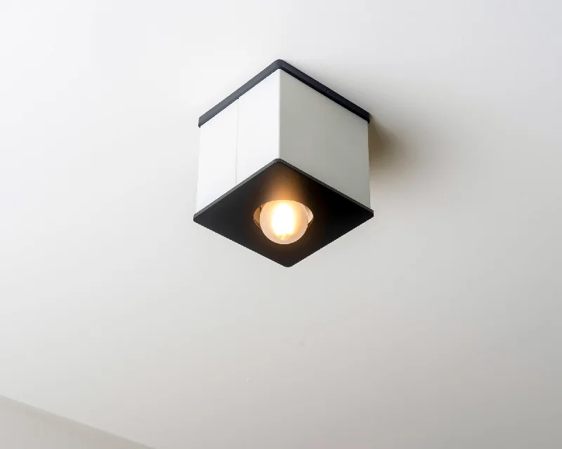 Incandescent Chandeliers for a Warm and Traditional GlowTetra I Flush Mount