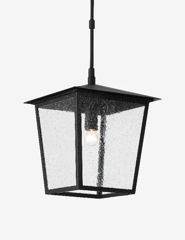 Art Nouveau Ceiling Lights with Organic, Flowing ShapesArt Nouveau Ceiling Lights with Organic, Flowing ShapesLeanne Outdoor Pendant Light Art Nouveau Ceiling Lights with Organic, Flowing ShapesArt Nouveau Ceiling Lights with Organic, Flowing ShapesLeanne Outdoor Pendant Light
